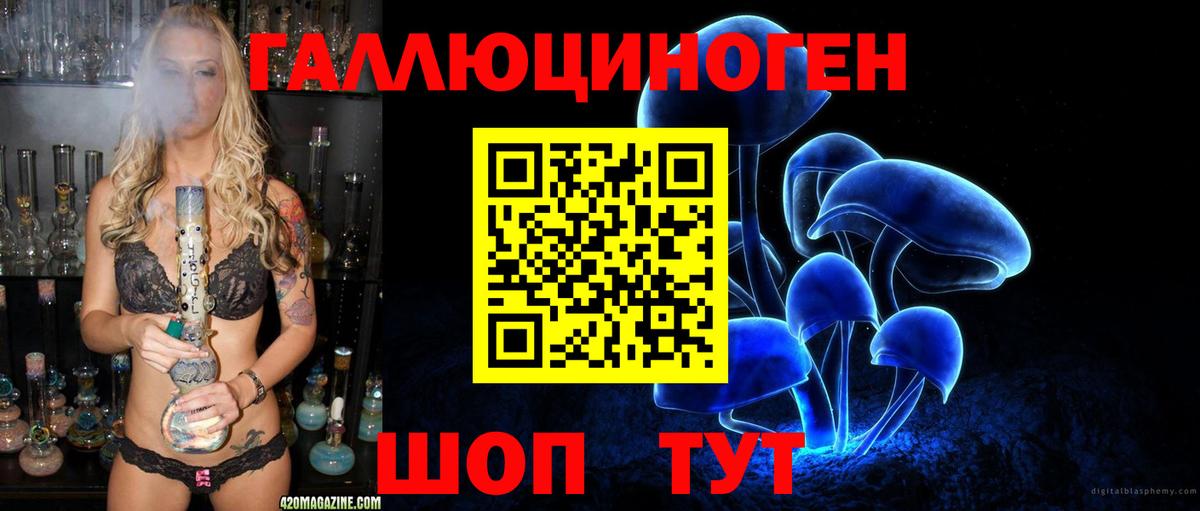 купить  цена  Галлюциногенные грибы GOLDEN TEACHER  Вход с VPN  Лесной 