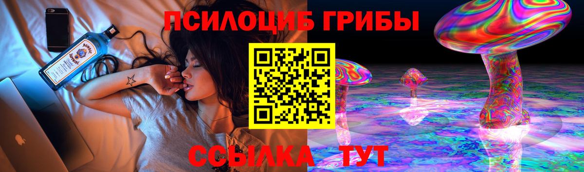 Галлюциногенные грибы Psilocybine cubensis Лесной